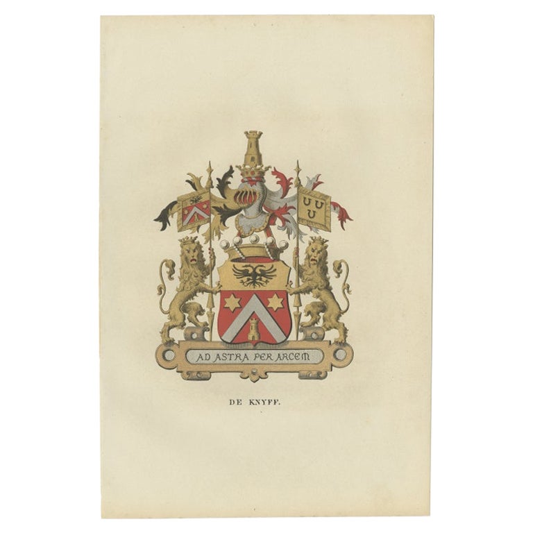 Antiker Genealogy-Druck der Familie „De Knyff“ aus dem Jahr 1862