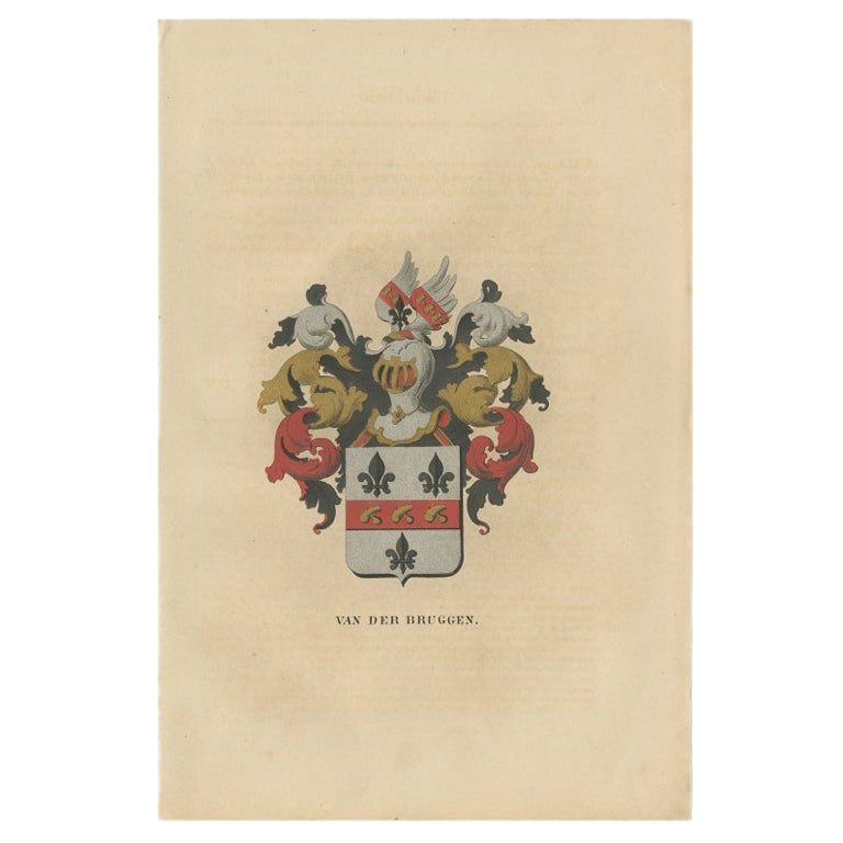 Antique Genealogy Print of the 'Van der Bruggen' Family by Herckenrode, 1862 For Sale