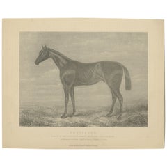 Antique Horse Print of 'Pretender' Winner of the Derby Stakes, 1880