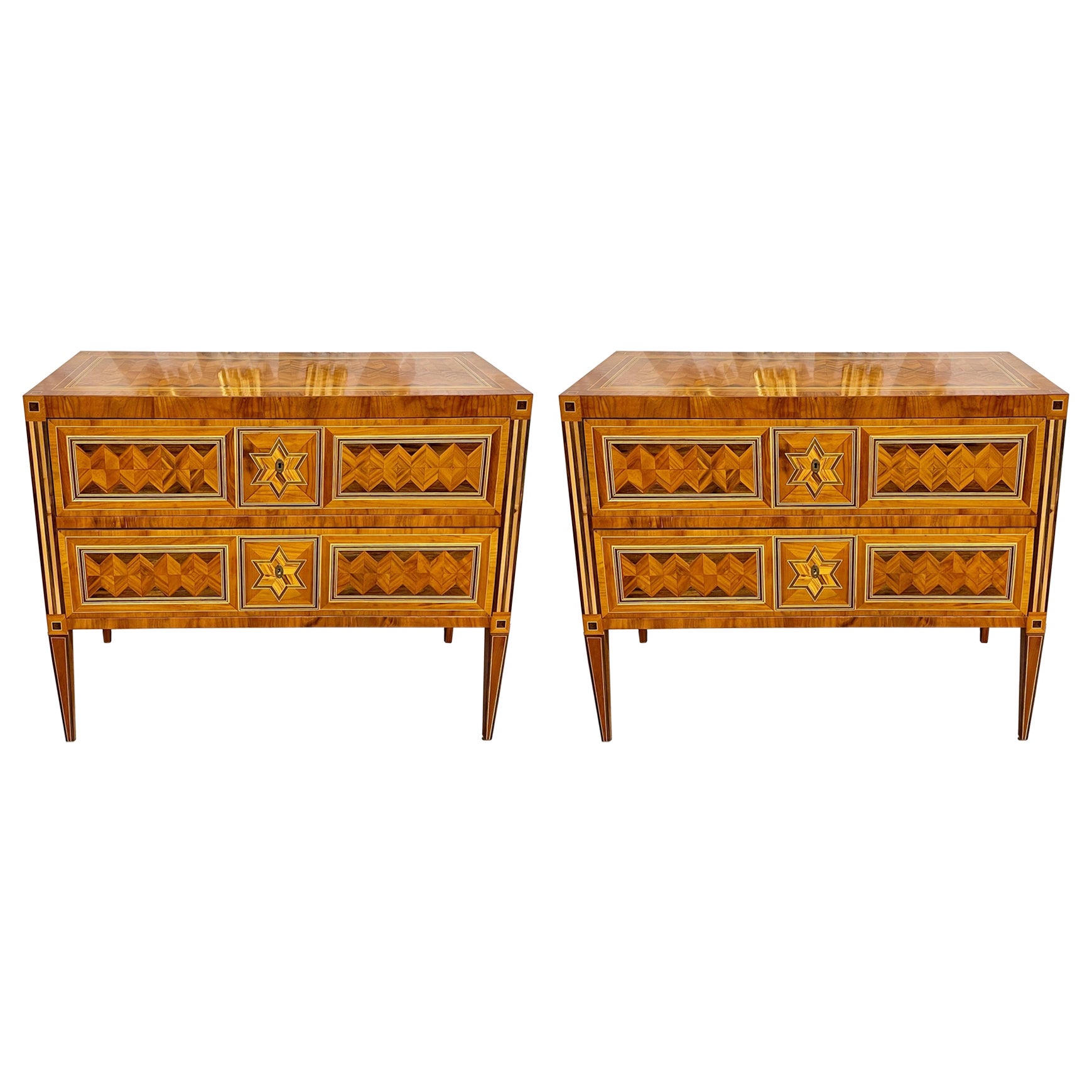 Pair of Italian Exotic Veneer Inlaid Neo-Classical Commodes