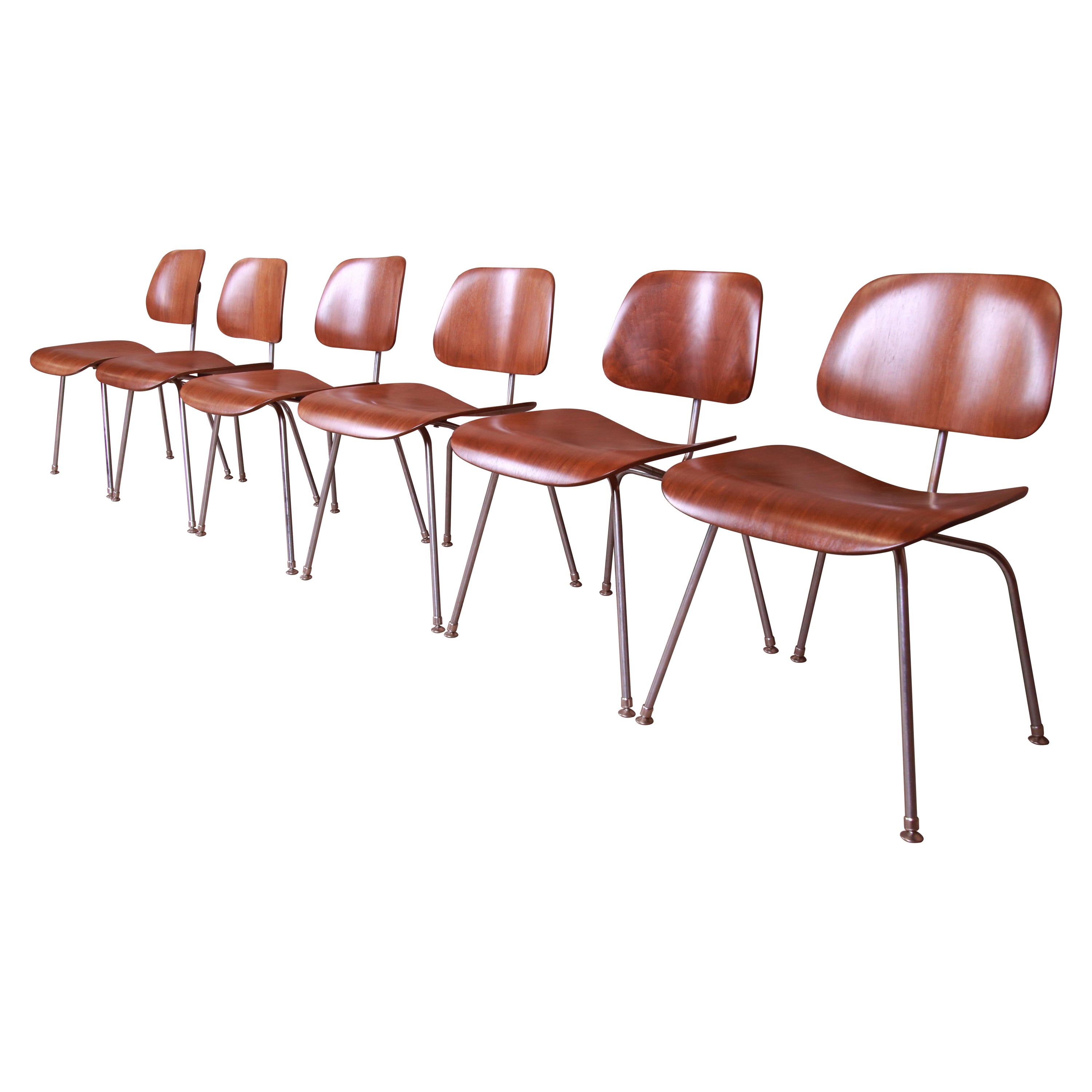 Early Charles Eames for Herman Miller DCM Chairs, Newly Restored For Sale