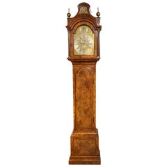 Robert Thorne, London, Burled Walnut Tall Case Clock with Pagoda Top
