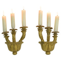 Couple of Italian 18th Century Giltwood Baroque Candleholders or Sconces