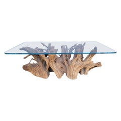 Organic Tree Root Coffee Table with Glass Top