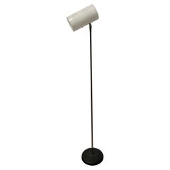1970's Spot Floor Lamp by Lightolier with Movable Head