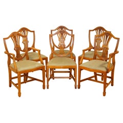 Stunning Bradley Wheatear Yew Wood Dining Chairs Set of 6 RRP £2, 500