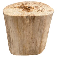 Andrianna Shamaris Minimalist Petrified Wood Side Table