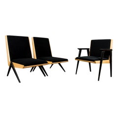 Office Set of 3 Mid-Century Black Chairs from Słupskie Furniture Factories, 1960