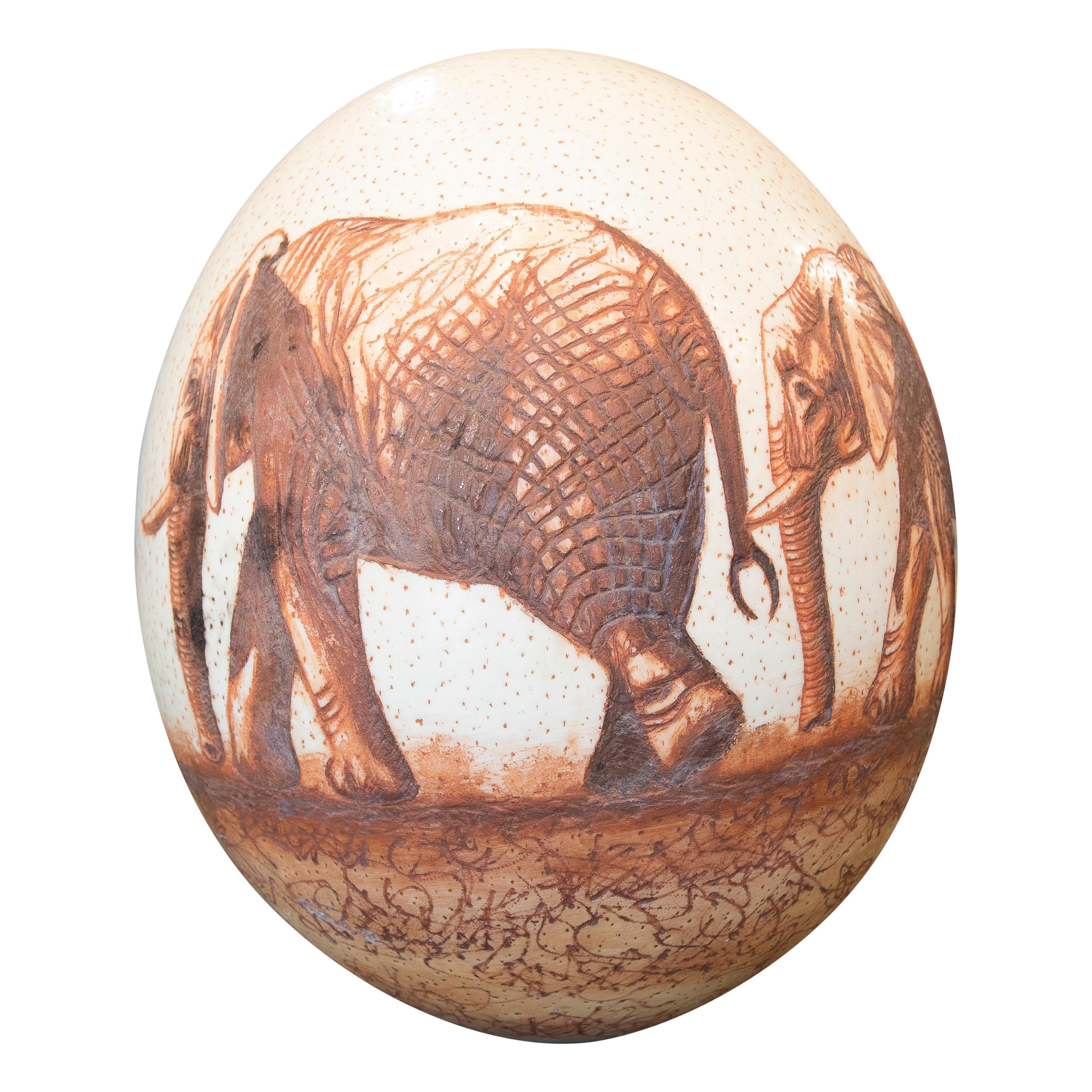 1950s South African Scrimshaw Ostrich Egg by Late Chief Sipho Ndldvu For Sale