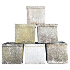 Medium-Sized Square Planters by Willy Guhl