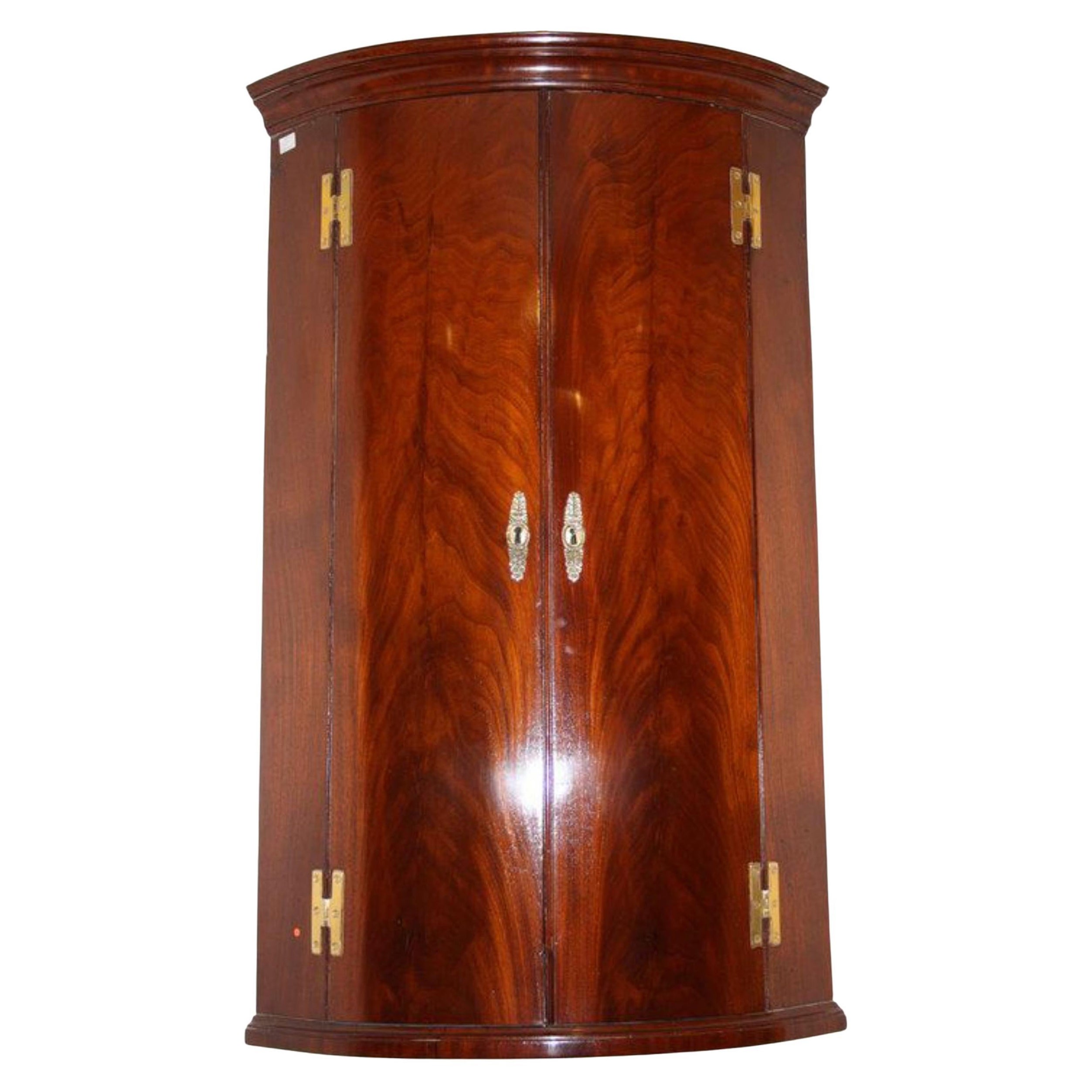Regency Wall Hanging Corner Cupboard in Mahogany For Sale at 1stDibs