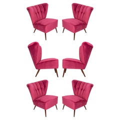 Set of Six Midcentury Pink Magenta Velvet Club Armchairs, Europe, 1960s