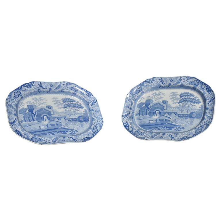 Pair of Spode Plates For Sale at 1stDibs