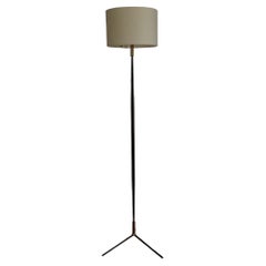 1950s French Steel and Brass Floor Lamp