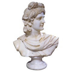 Antique Italian Carved Marble Bust of Apollo Belvedere, 19th Century