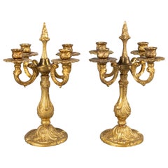 Pair of 19th Century French Rococo Gilt Bronze Candelabras