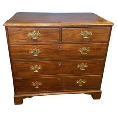 English Case Pieces and Storage Cabinets