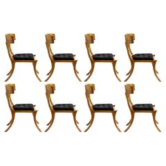 Klismos Walnut Wood Saber Legs Black Velvet Chairs, Customizable Set of 8