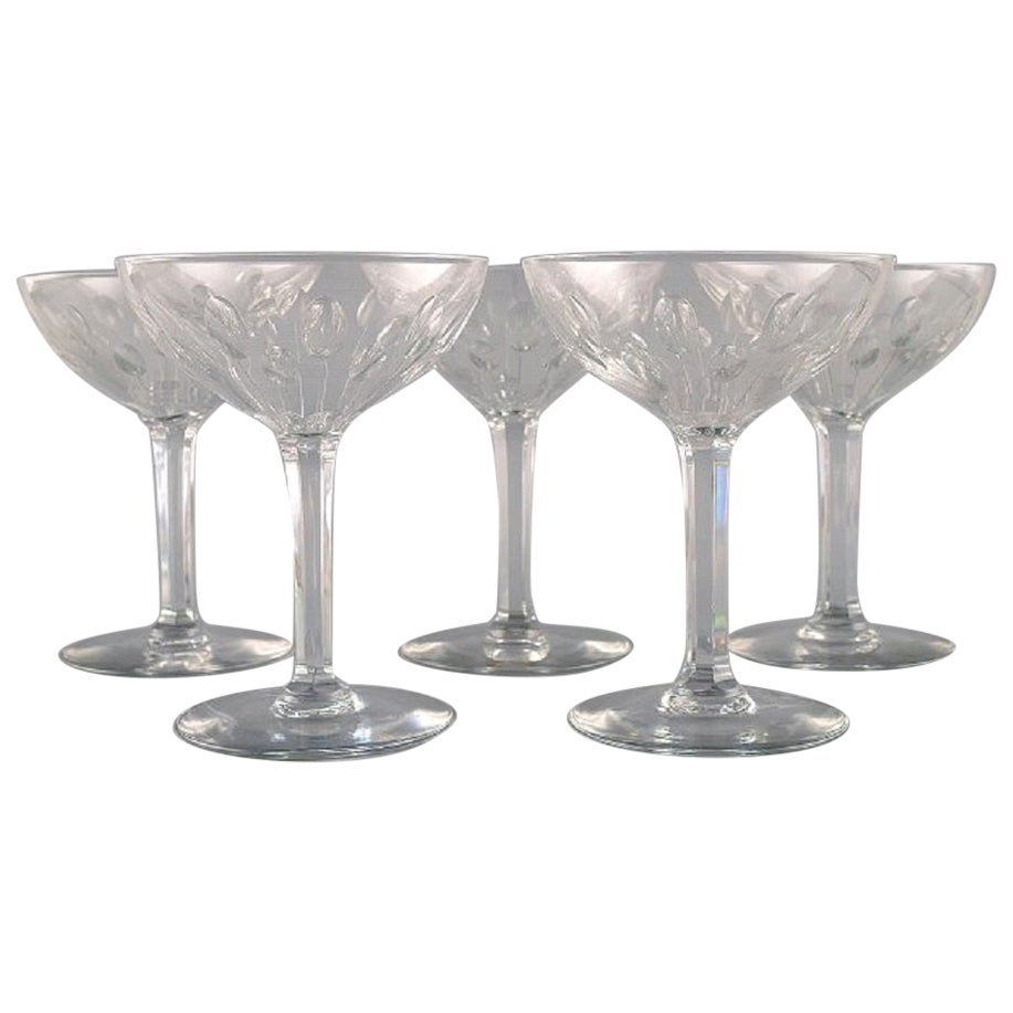 Baccarat, France. Five champagne bowls in clear mouth-blown crystal glass.