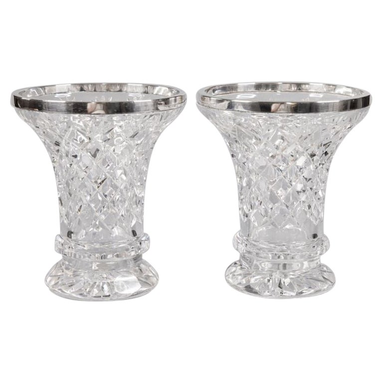 Pair of Antique English Sterling Silver & Cut Crystal Vases For Sale