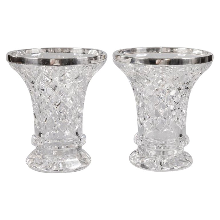 Pair of Antique English Sterling Silver and Cut Crystal Vases For Sale