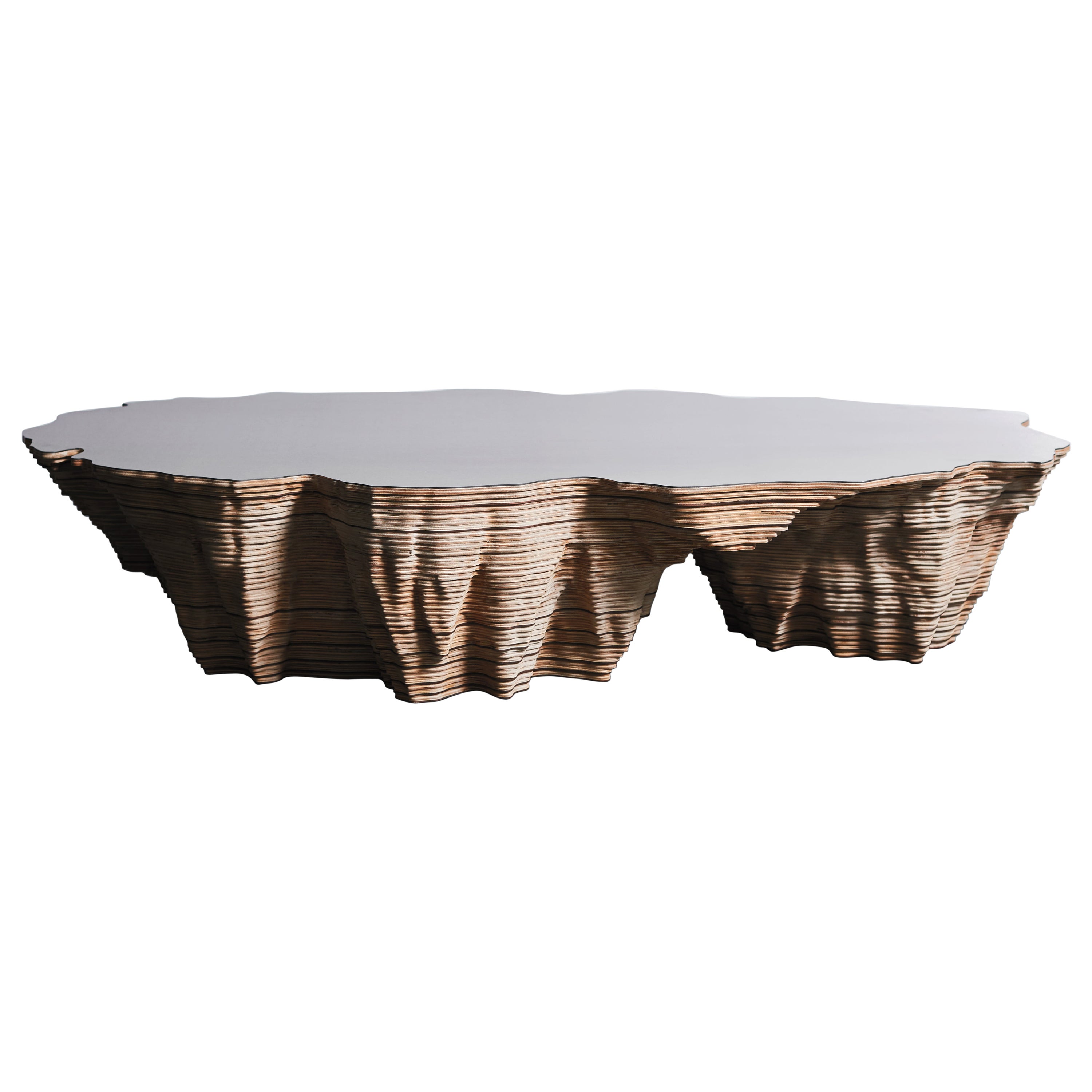 Contoured Oval Coffee Table in Birch Wood & Brushed Steel For Sale