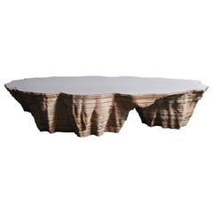 Contoured Oval Coffee Table in Birch Wood & Brushed Steel