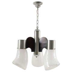 Stainless Steel Pendant Chandelier by Gaetano Sciolari for Mazzega, Murano-Glass