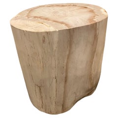 Andrianna Shamaris Minimalist High Quality Petrified Wood Side Table