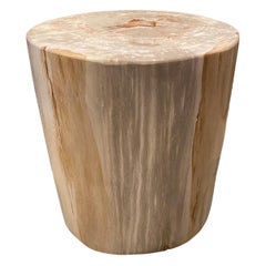 Andrianna Shamaris Minimalist High Quality Petrified Wood Side Table