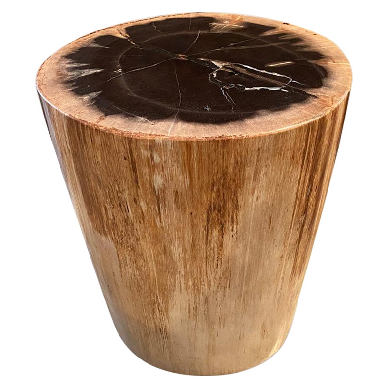 High Quality Petrified Wood Side Table