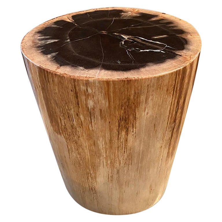 Petrified wood table for cheap sale