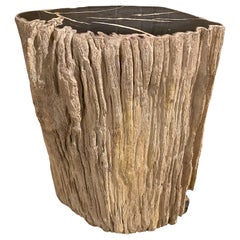Andrianna Shamaris Contrasting Toned Petrified Wood Side Table