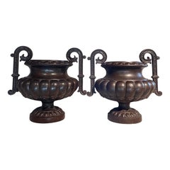 Rare Pair of 19th C Handled Urns by Fauve a Revin