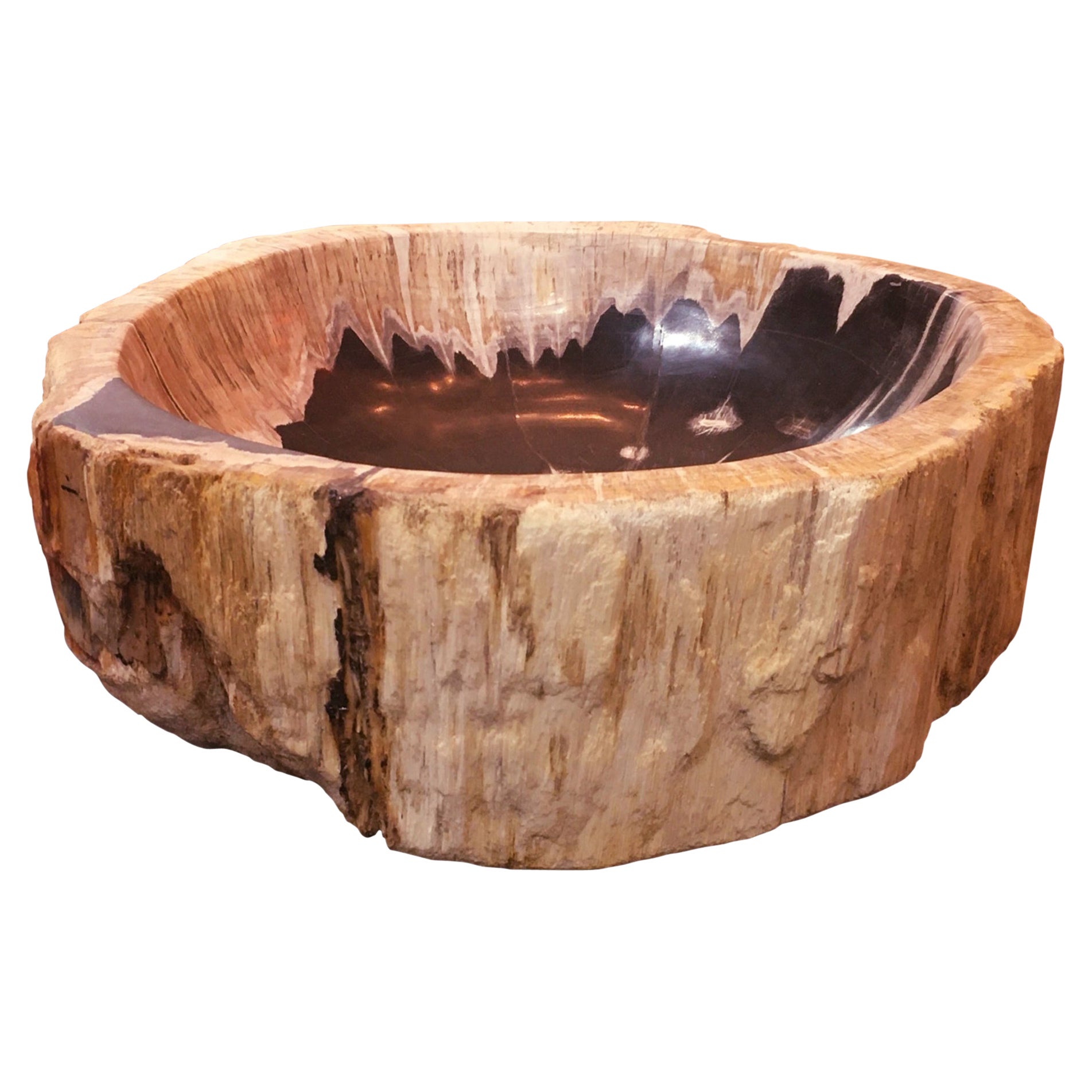 Ashtray in Petrified Wood Large at 1stDibs