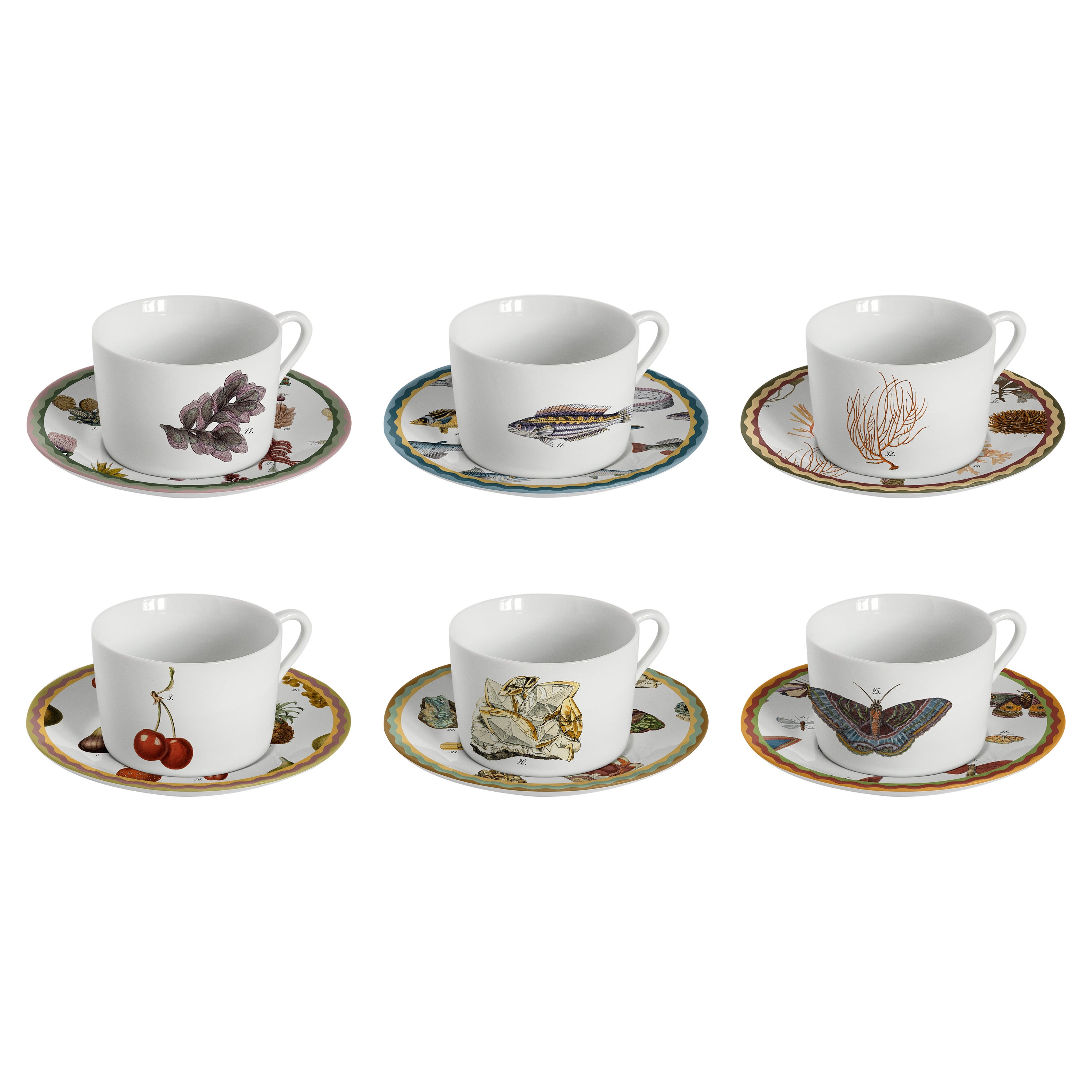 Six tasses à thé et assiettes décorées contemporaines de curiosités de meuble de rangement en vente