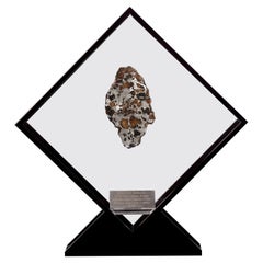 Original Design, Seymchan with Ovaline Meteorite in a Black Acrylic Display