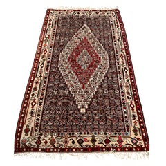 Magnifique et coloré tapis persan ancien Kilim