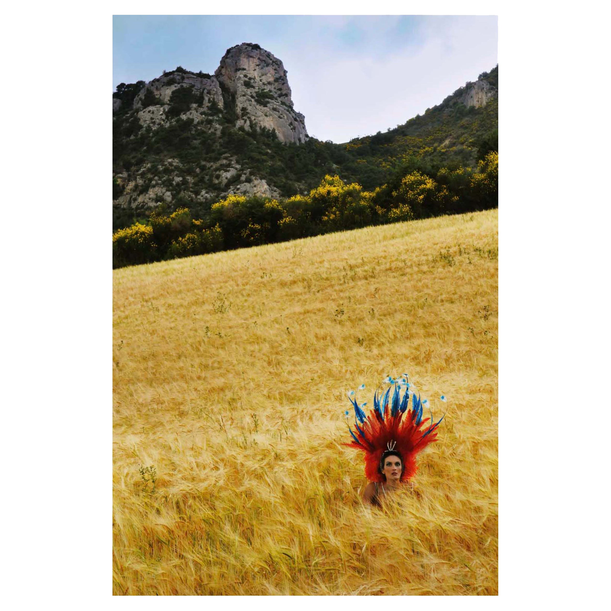 Cédric Roulliat, Photography, "Bluebellbis/Red", 2009 For Sale