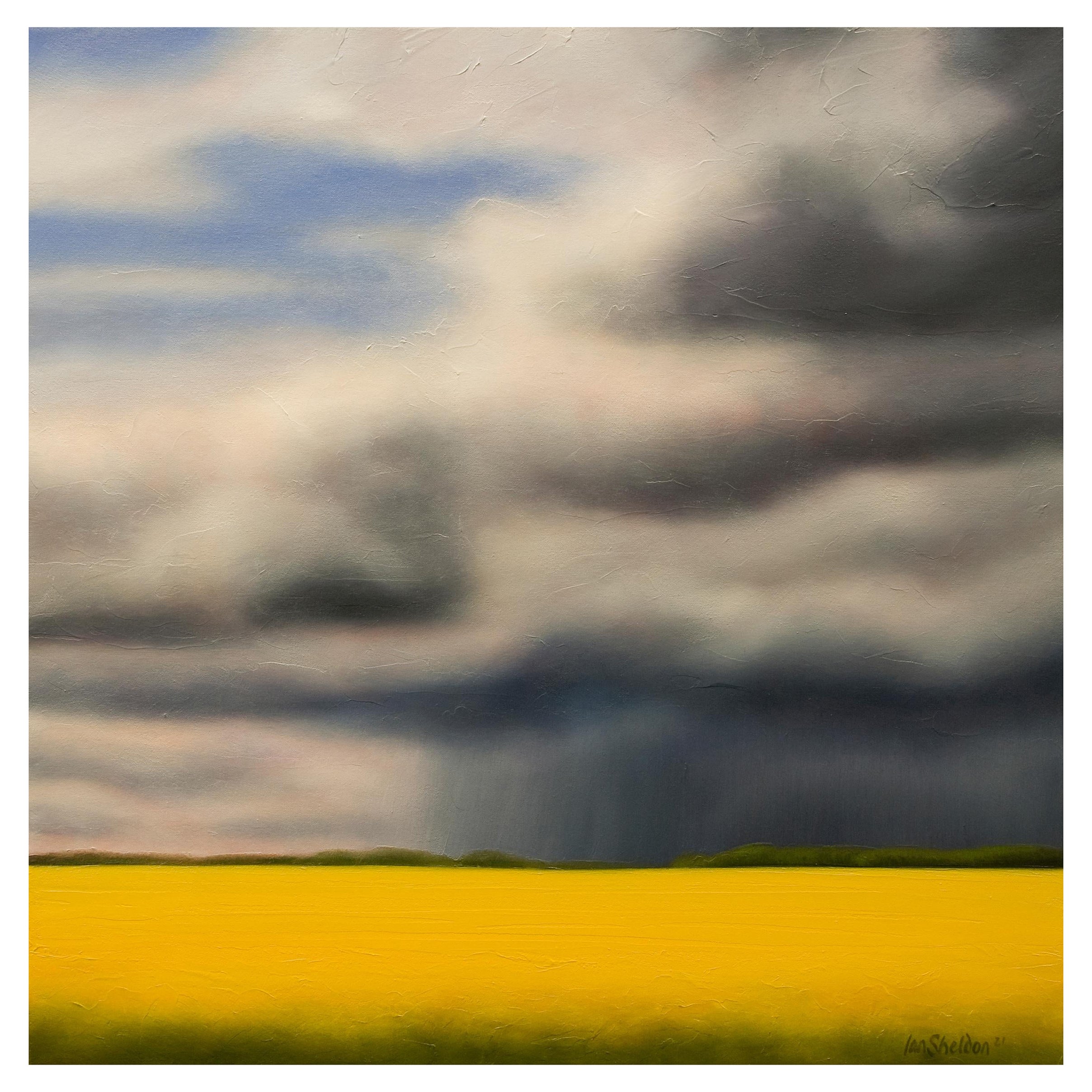 "Canola Dynamics" Yellow, Blue Oil on Canvas Storm Landscape by Ian Sheldon