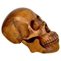 Monumental Hand Carved Walnut Model of a Human Skull