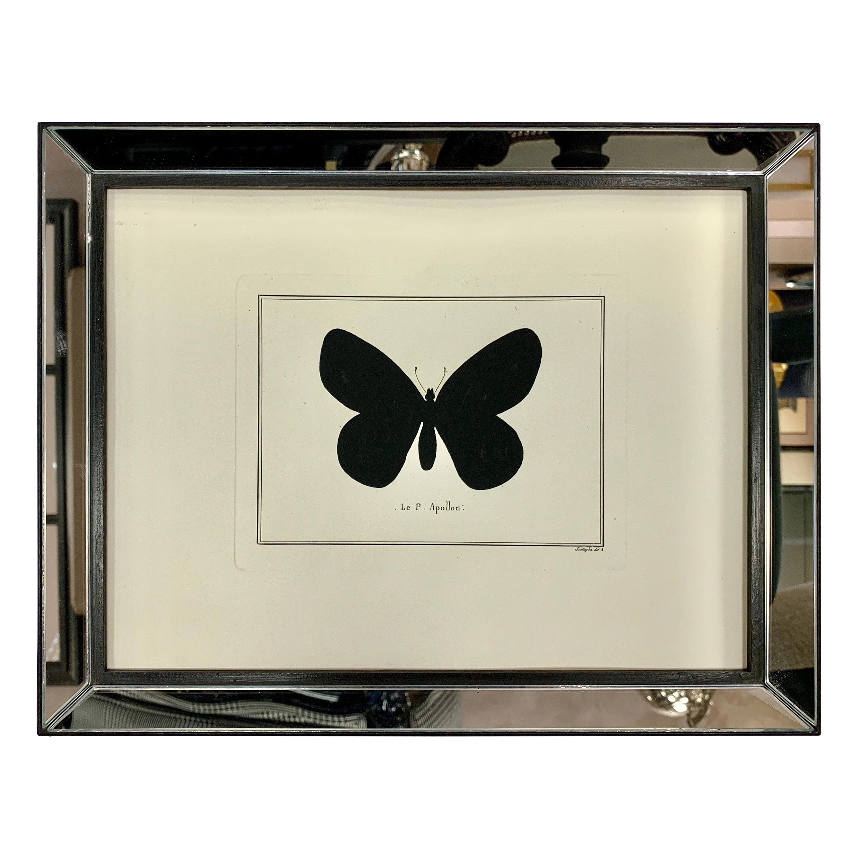 Contemporary Italian Hand Watercolored Apollon Butterfly Print with Mirror Frame