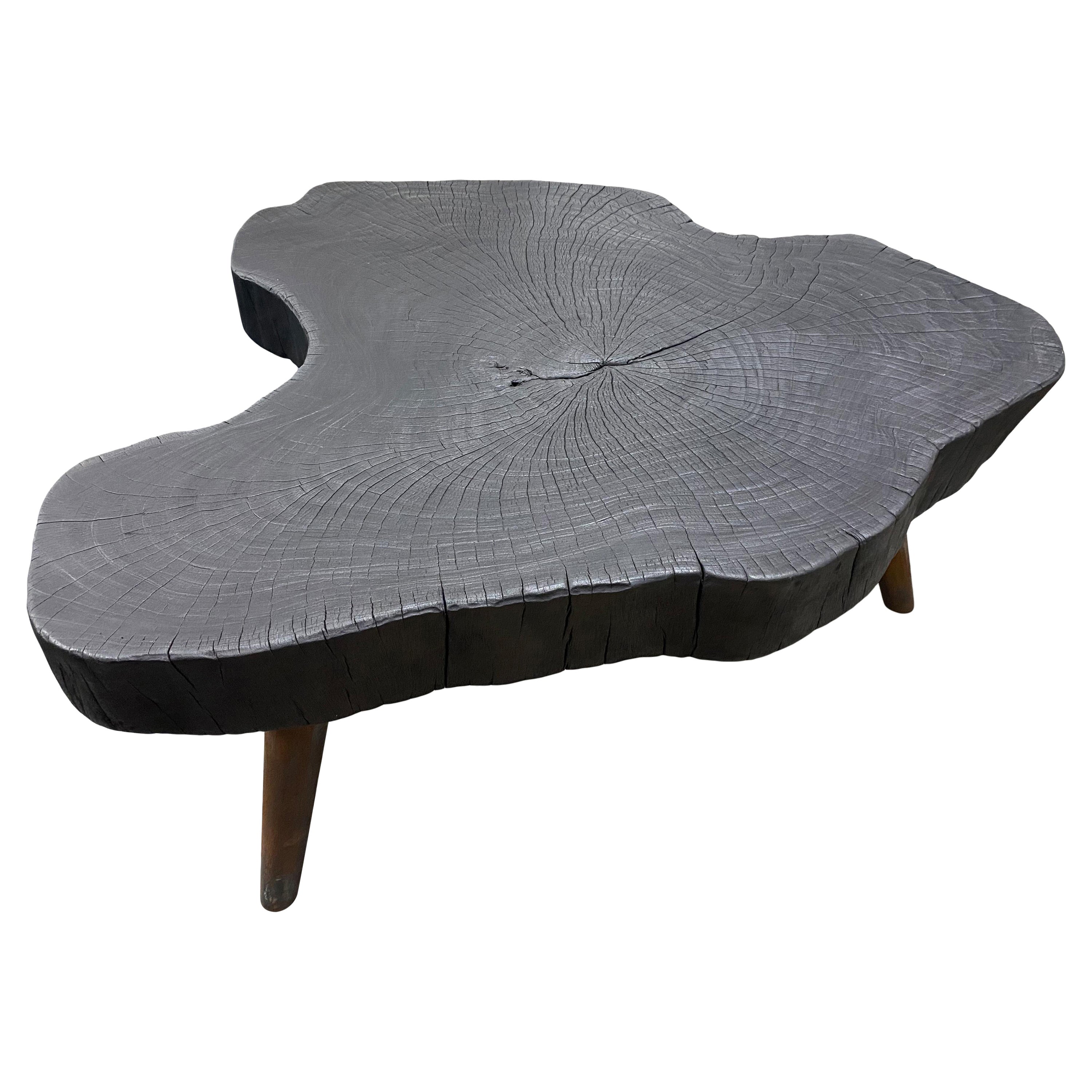 Andrianna Shamaris Amorphous Charred Coffee Table