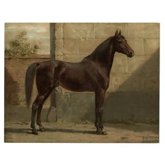 Antique Horse Print of the East Prussian Horse, 1898
