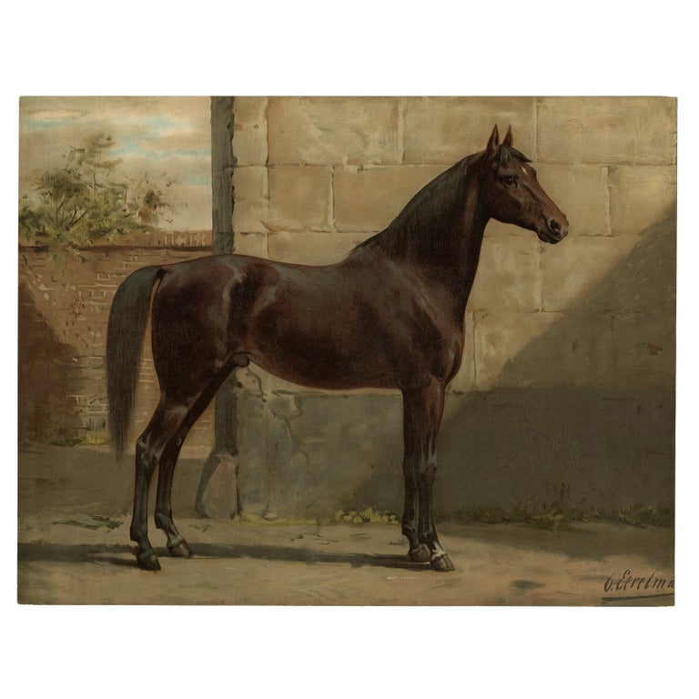 Antique Horse Print of the East Prussian Horse, 1898 For Sale