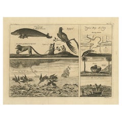 Antique Print with Various Creatures from A Travel Account, 1744 
