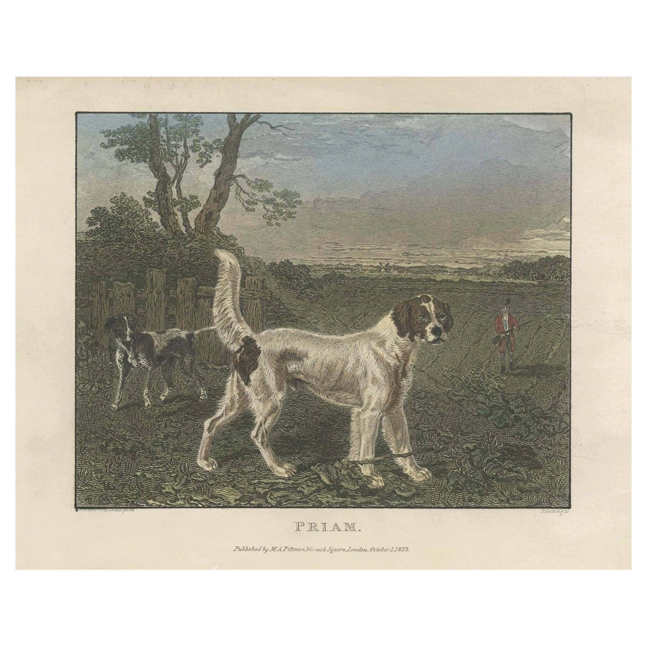 Antiquité - Gravure coloriée à la main de chiens dans une scène de chasse, 1833