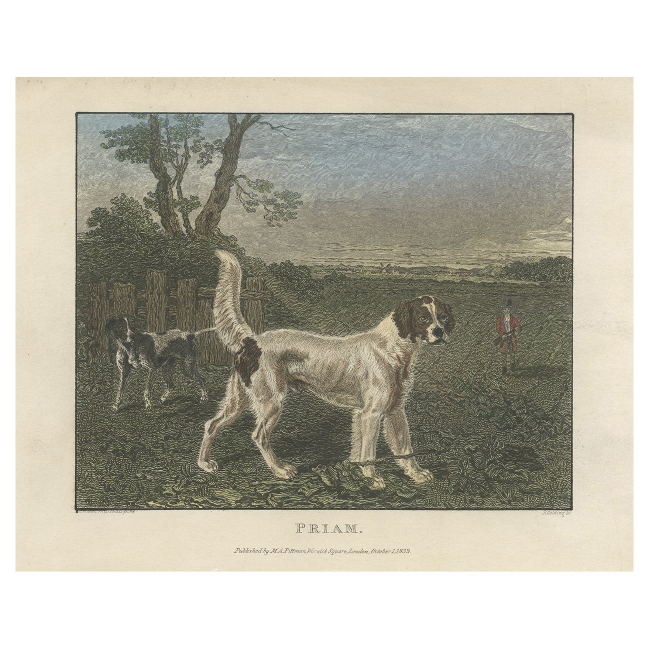 Antique Hand-Coloured Print of Dogs in a Hunting Scene, 1833 For Sale