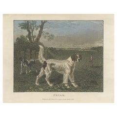 Antique Hand-Coloured Print of Dogs in a Hunting Scene, 1833