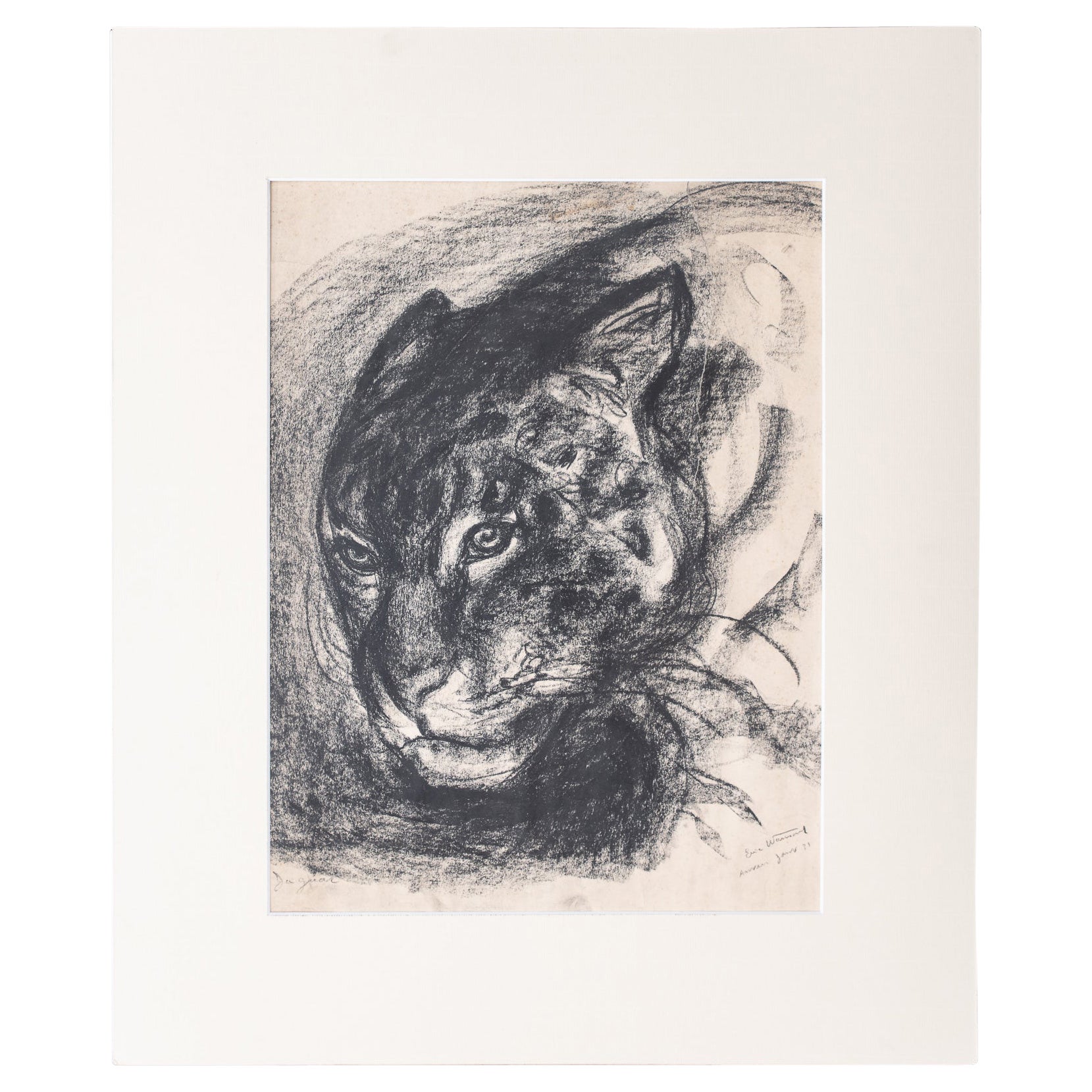 Eric Wansart „Ukkel, 1899 - Elsene, 1976“, Zeichnung eines Panthers, Holzkohle